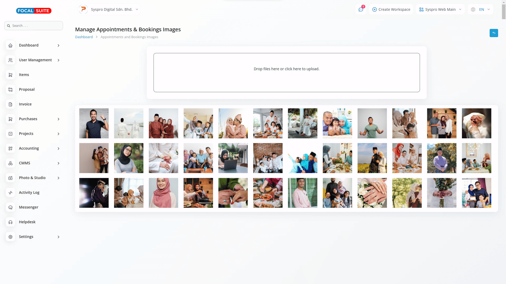 Organic Vegetable Box